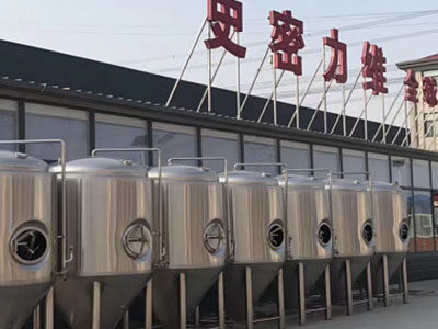 鄂托克前精酿啤酒设备厂—如何判断精酿啤酒设备的密封件需要更换？